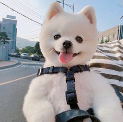 比特币钱包名称